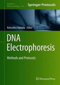 DNA Electrophoresis
