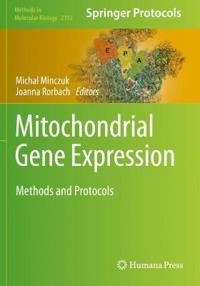 Mitochondrial Gene Expression