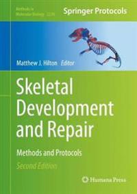 Skeletal Development and Repair