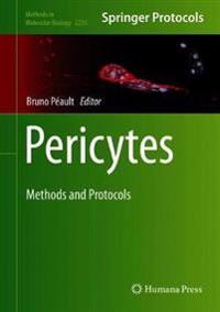 Pericytes