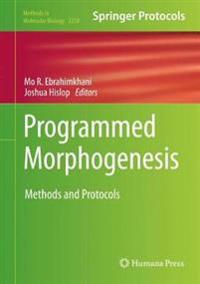 Programmed Morphogenesis