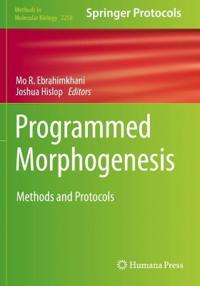 Kirjan kansi "Programmed Morphogenesis"