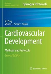 Cardiovascular Development