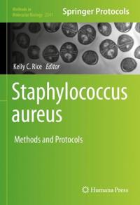 Staphylococcus aureus