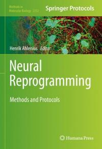 Kirjan kansi "Neural Reprogramming"