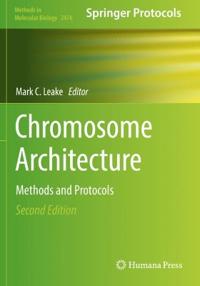 Chromosome Architecture