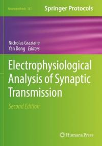 Electrophysiological Analysis of Synaptic Transmission