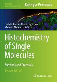 Histochemistry of Single Molecules