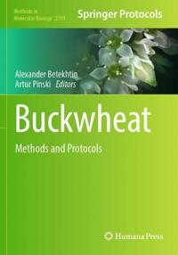 Buckwheat