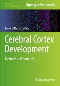 Kirjan kansi "Cerebral Cortex Development"