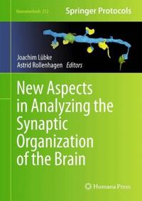 New Aspects in Analyzing the Synaptic Organization of the Brain