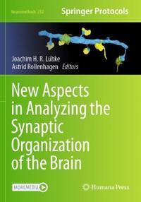 New Aspects in Analyzing the Synaptic Organization of the Brain