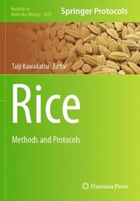 Rice