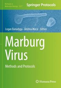Marburg Virus