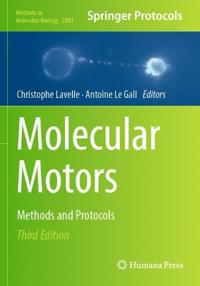 Molecular Motors