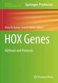 HOX Genes