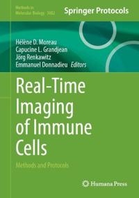 Real-Time Imaging of Immune Cells