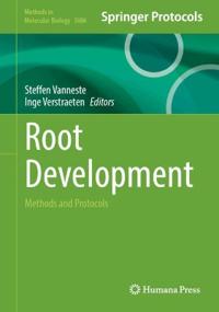 Root Development