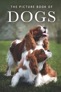 The Picture Book of Dogs