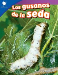 gusanos de la seda