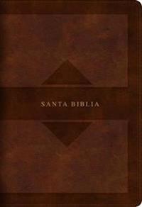 RVR 1960 Hand Size Giant Print Bible with Holy Land Images