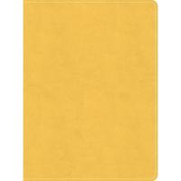 CSB Lifeway Women's Bible, Marigold LeatherTouch