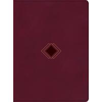 CSB Day-by-Day Chronological Bible, Burgundy LeatherTouch