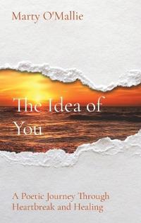 The Idea of You