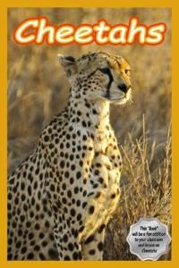 Cheetahs
