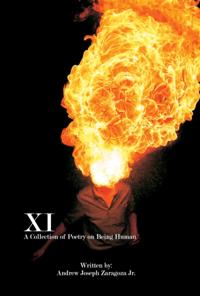 XI