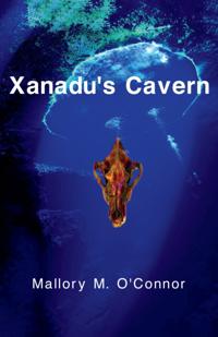 Xanadu's Cavern