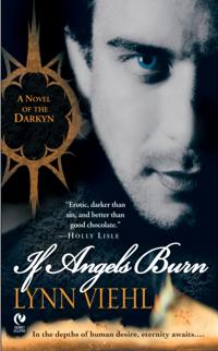 Novel Of The Darkyn
