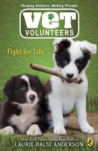 Vet Volunteers