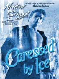 Psy-Changeling Novel, A