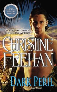 Carpathian Novel, A