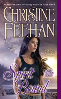 A Sea Haven Novel