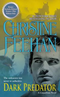 Carpathian Novel, A