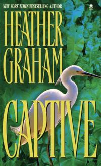 The Florida Series