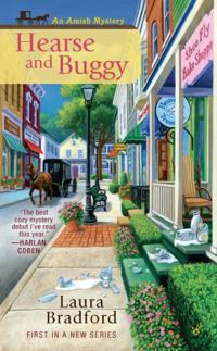 An Amish Mystery