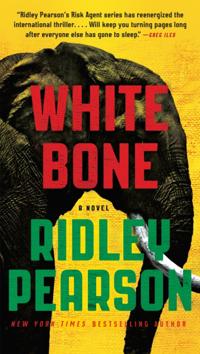 A Risk Agent Novel