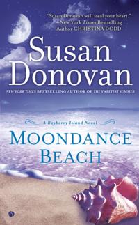 Bayberry Island Novel