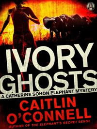 Catherine Sohon Elephant Mystery