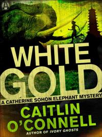 Catherine Sohon Elephant Mystery