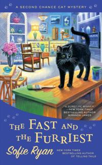 Second Chance Cat Mystery