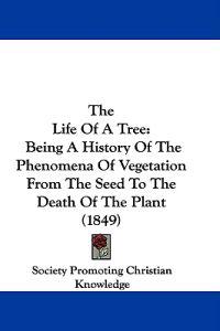 The Life Of A Tree