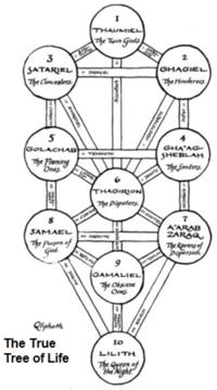 True Tree of Life: The Qliphotic Tree in Reverse