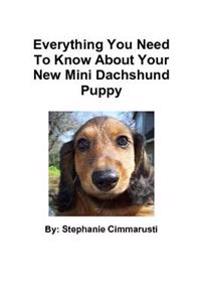 Everything You Need To Know About Your New Mini Dachshund Puppy