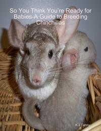 So You Think You're Ready for Babies - A Guide to Breeding Chinchillas