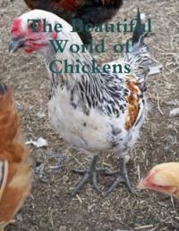 Beautiful World of Chickens