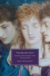 Kirjan kansi "The Bigamy Plot"